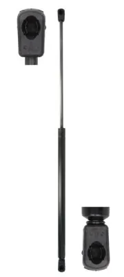 Gaasivedru, pagasi-/veoruum Magnum Technology MGS030