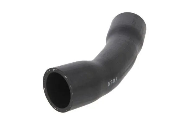 Laadimisõhu voolik THERMOTEC DCG281TT