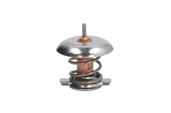 Termostaat, Jahutusvedelik THERMOTEC D2V001TT