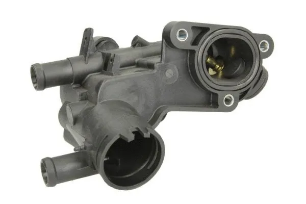 Termostaadi korpus THERMOTEC D2W009TT