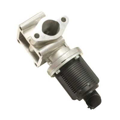 EGR-klapp HITACHI 138480