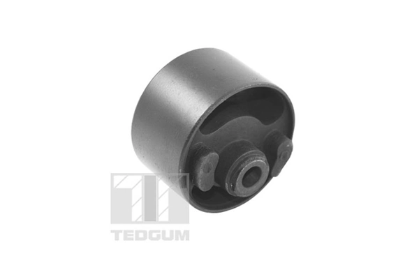 Paigutus, Mootor TEDGUM 00721434