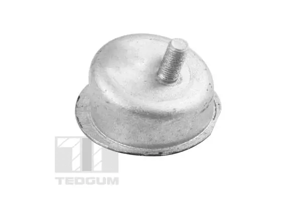 Paigutus, Mootor TEDGUM TED43629