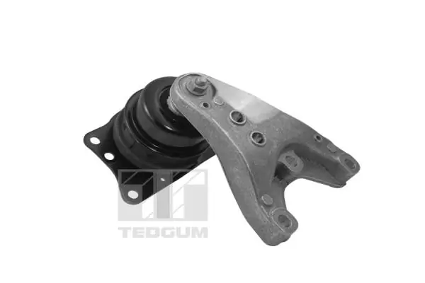 Paigutus, Mootor TEDGUM 00729405