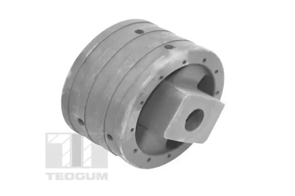 Paigutus, Mootor TEDGUM 00741004