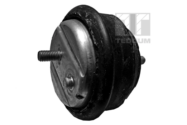 Paigutus, Mootor TEDGUM 00089788