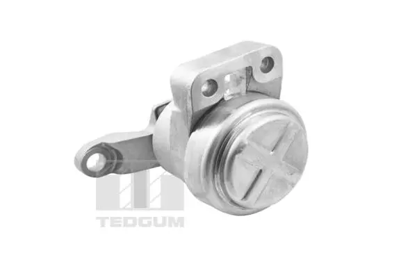 Paigutus, Mootor TEDGUM TED36070