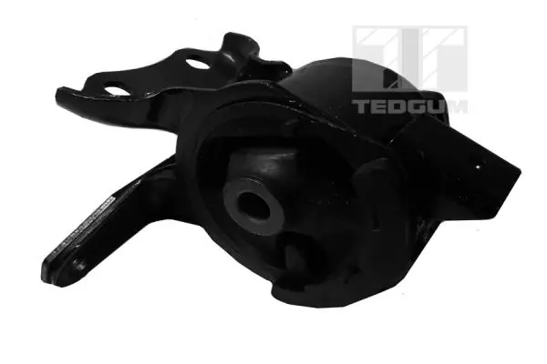 Paigutus, Mootor TEDGUM 00391336
