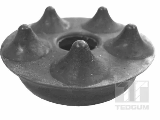 Vedruamordi tugilaager TEDGUM 00050312