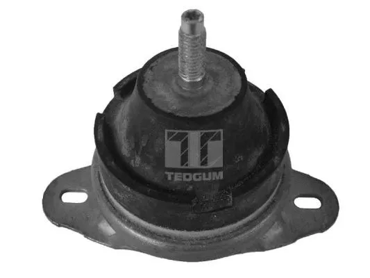 Paigutus, Mootor TEDGUM 00214163
