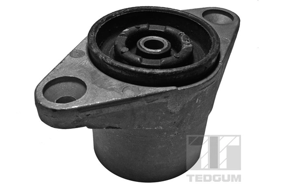 Vedruamordi tugilaager TEDGUM 00729328