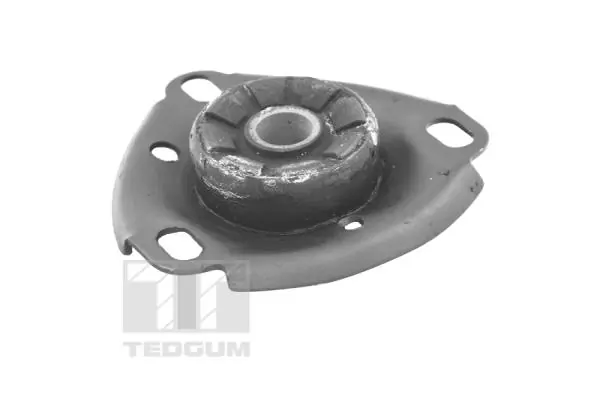 Vedruamordi tugilaager TEDGUM 00059408