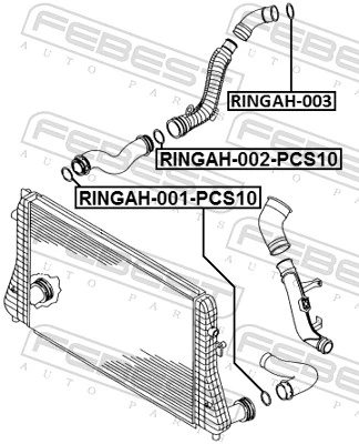 Rõngastihend, õhulaadevoolik FEBEST RINGAH-001-PCS10