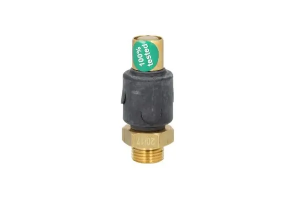 Süsteemi kaitseklapp PNEUMATICS PN-10464