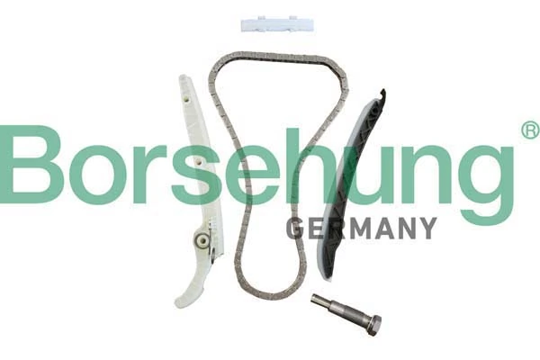 Mootori keti komplekt Borsehung B10237