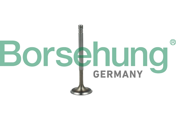 Sisselaskeventiil Borsehung B19019