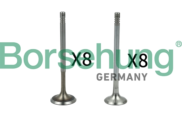 Klappide komplekt, sisse-/väljalaskeklapp Borsehung B18630