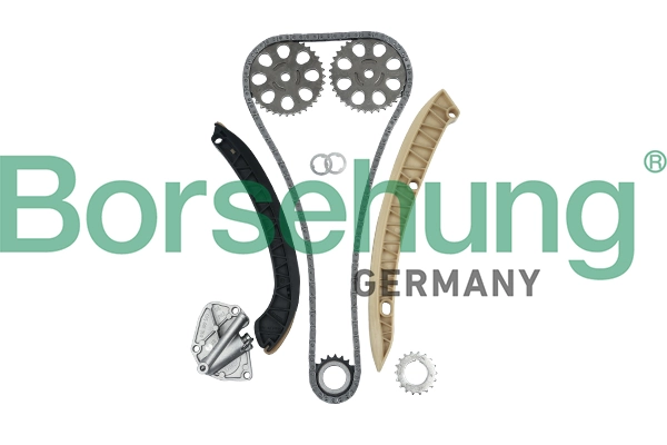 Mootori keti komplekt Borsehung B16295