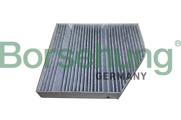 Filter, salongiõhk Borsehung B12449