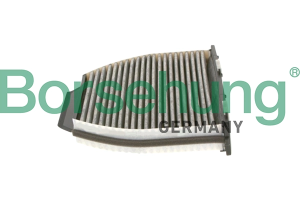 Filter, salongiõhk Borsehung B12850