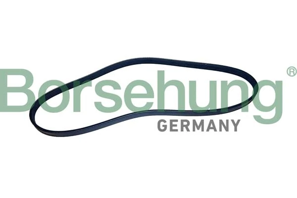 Soonrihm Borsehung B12497