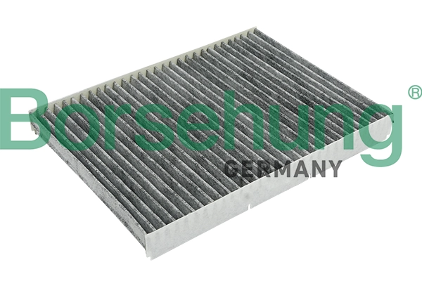 Filter, salongiõhk Borsehung B12796