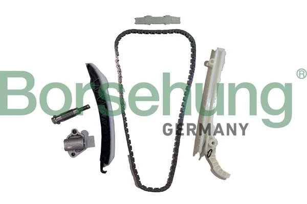 Mootori keti komplekt Borsehung B12554