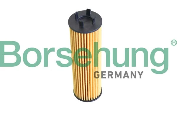 Õlifilter Borsehung B12286