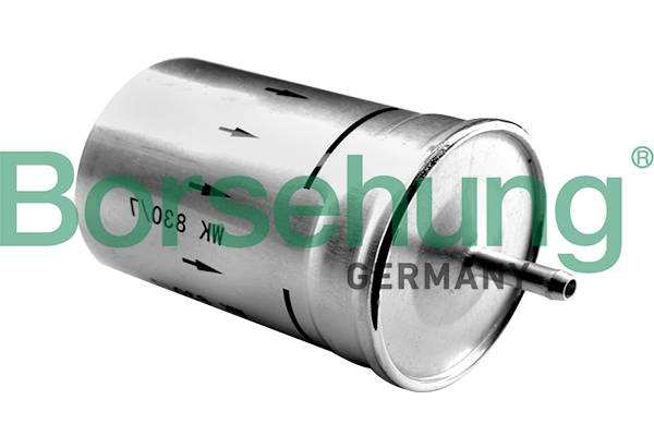 Kütusefilter Borsehung B12794