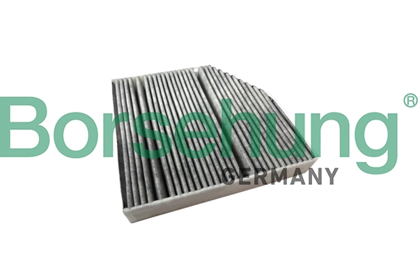Filter, salongiõhk Borsehung B12844