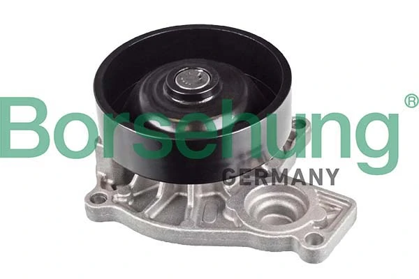Veepump, mootori jahutus Borsehung B11219