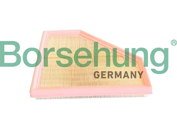 Õhufilter Borsehung B12292