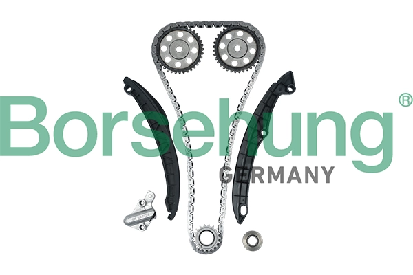 Mootori keti komplekt Borsehung B16300
