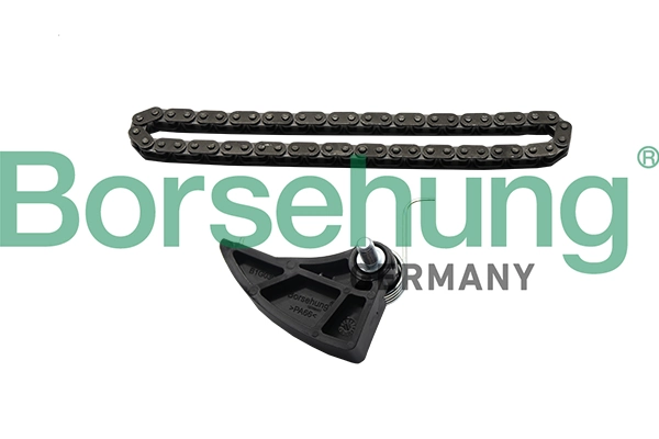 Mootori keti komplekt Borsehung B19287