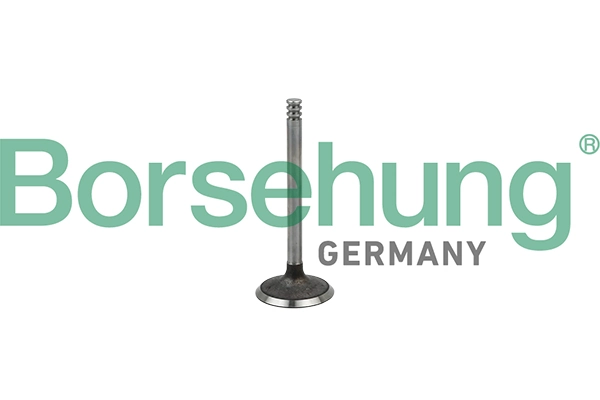 Sisselaskeventiil Borsehung B18998
