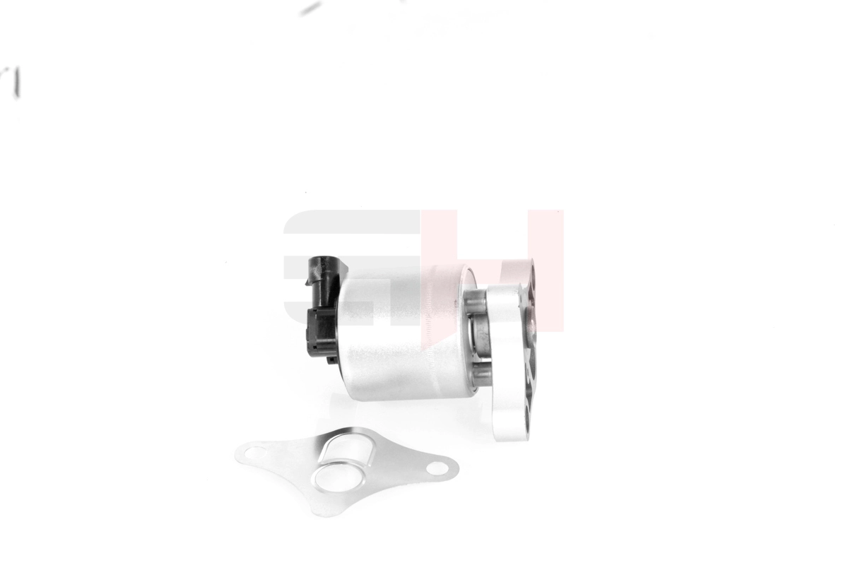 EGR-klapp GH GH-733622