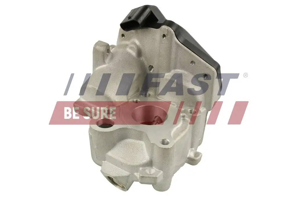 EGR-klapp FAST FT60218