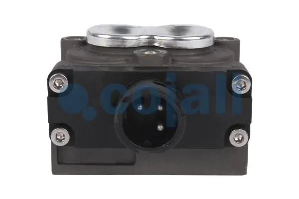 Magnetklapp COJALI 2818005