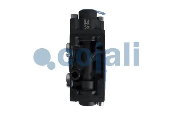 Mitmeotstarbeline klapp COJALI 2880254