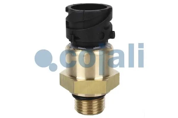 Andur, Õlisurve COJALI 2260264
