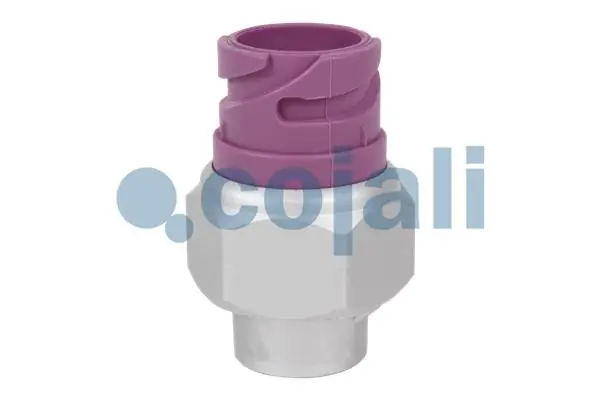 Õhusurveandur, COJALI 2260573