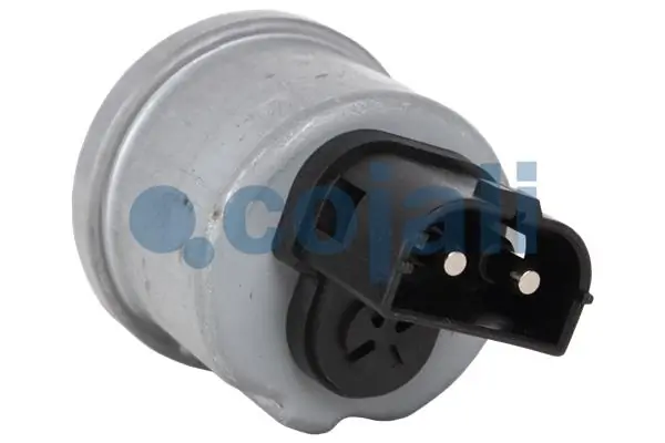 Andur COJALI 2260186