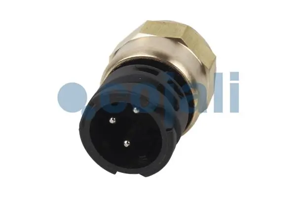 Andur COJALI 2260215