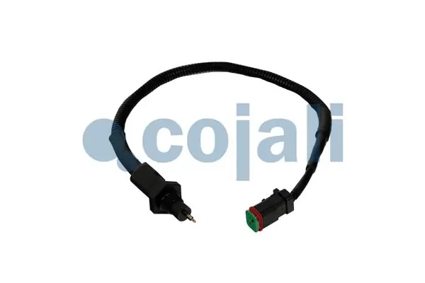 Andur COJALI 2263013