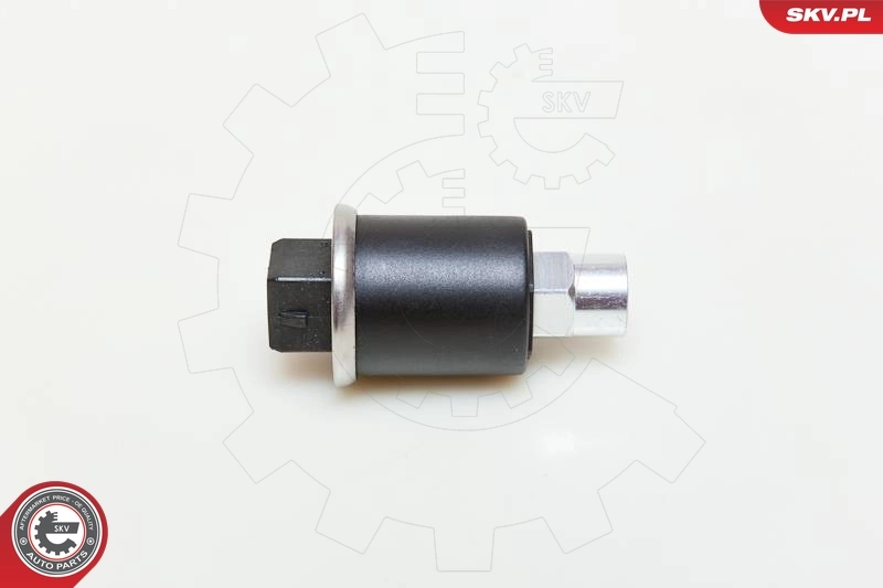 Survelüliti, kliimaseade ESEN SKV 95SKV101