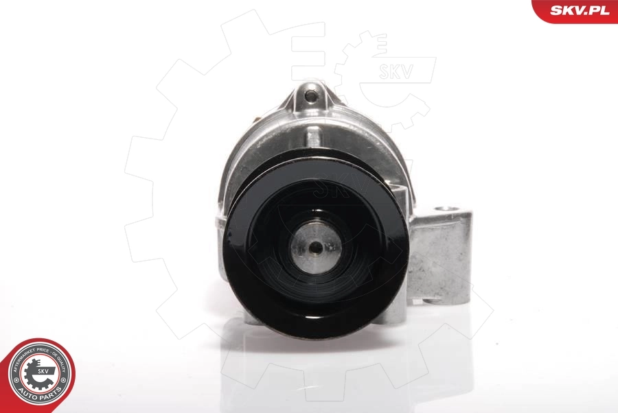 Pump, pidurisüsteem ESEN SKV 18SKV002