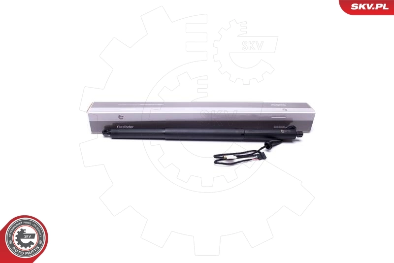 Elektrimootor, tagaluuk ESEN SKV 52SKV929