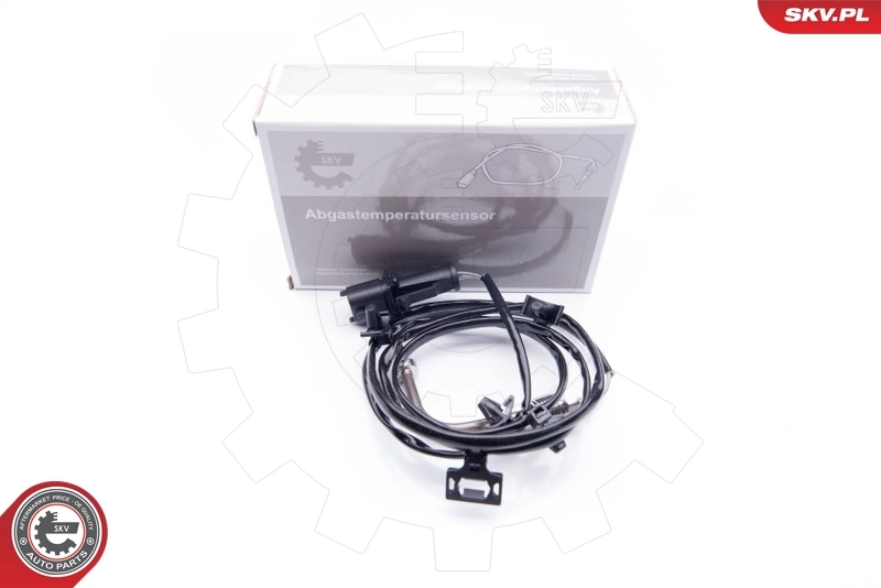 Andur, heitgaasitemperatuur ESEN SKV 30SKV034