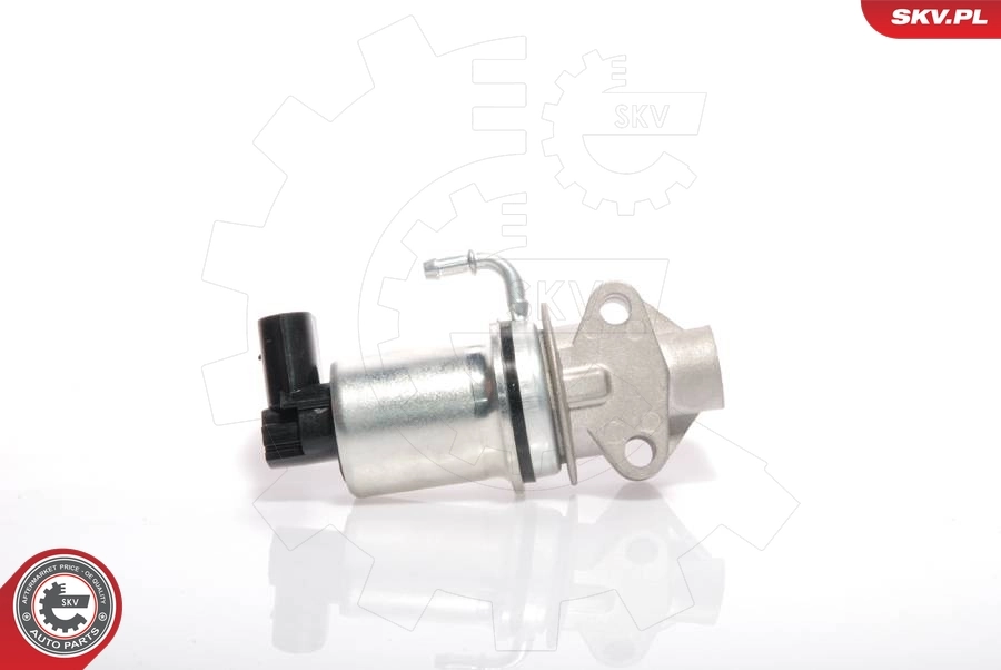 EGR-klapp ESEN SKV 14SKV018