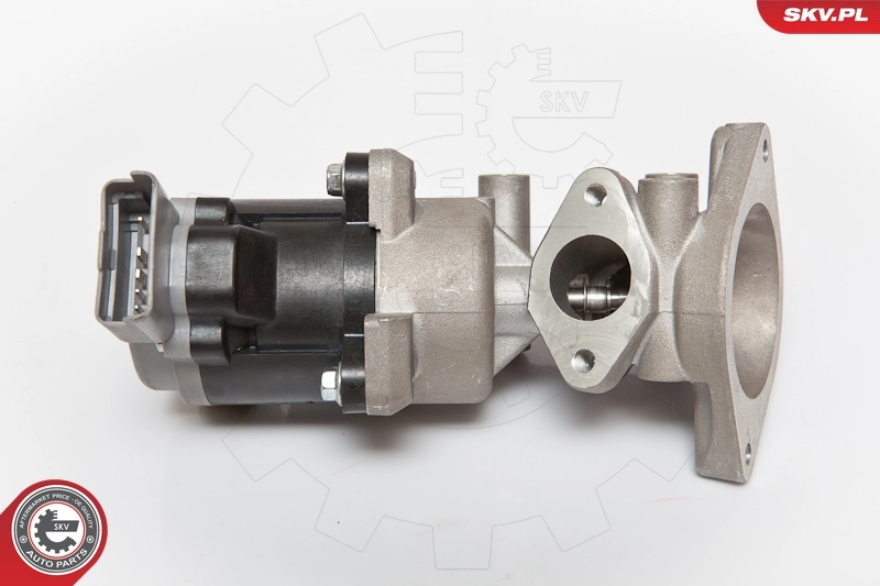 EGR-klapp ESEN SKV 14SKV072